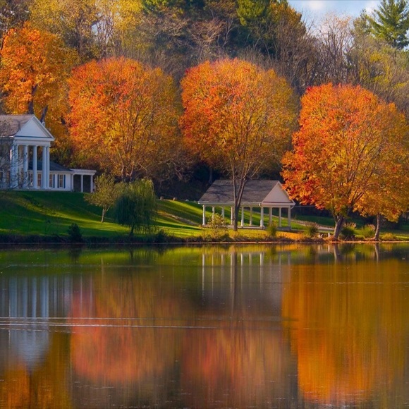 🌻 Meet your Posher 🌻 - Picture 9 of 10